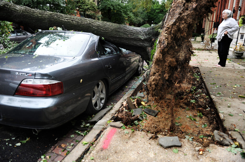 Neighbors look at a car crushed by a large tree in the wake of Hurricane Irene on August 28, 2011 in Baltimore, Maryland. Credit: Patrick Smith/Getty Images