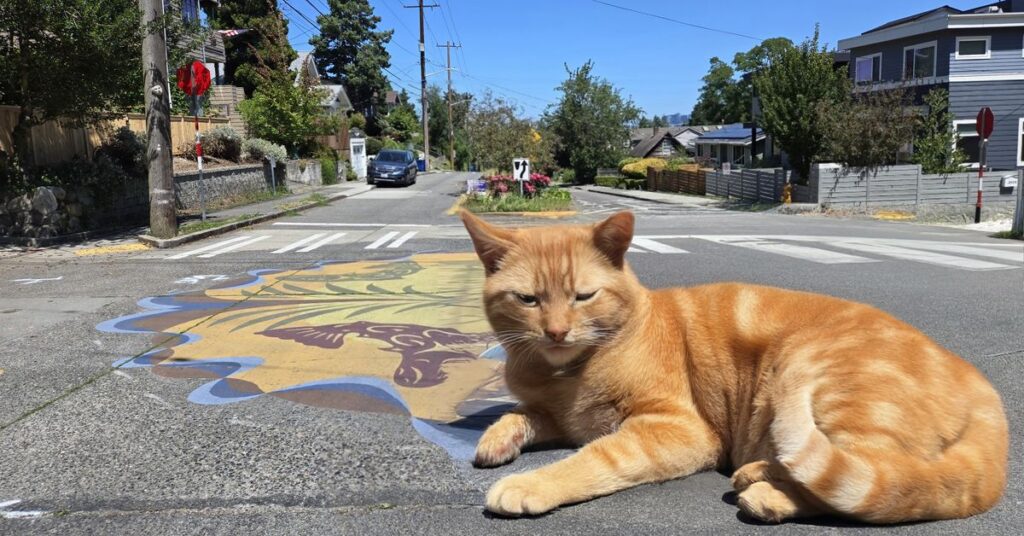 A photo of an intersection with colorful mural on the ground and a large AI-generated orange cat lying down.